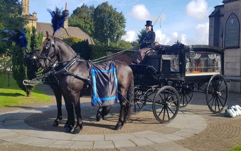 Horse-Drawn-Carriage-3